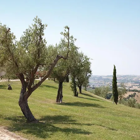 Dimora Delle Vigne