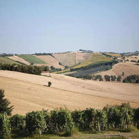 Dimora Delle Vigne San Giorgio di Pesaro